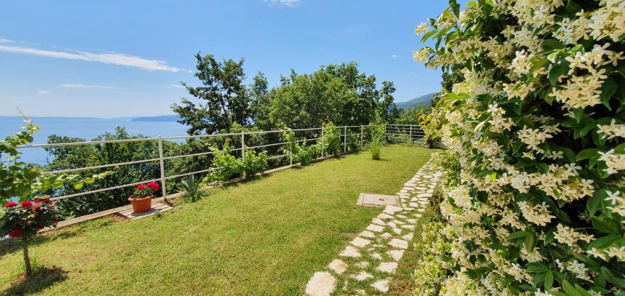 Apartma Paradise